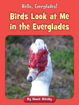 cover image of Birds Look at Me in the Everglades